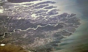 Agriculture: Jeopardising the future of the Indus delta