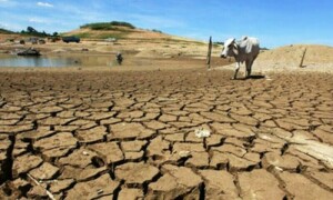 &rsquo;موسمیاتی تبدیلیوں کی وجہ سے پاکستان کو 2070 تک بڑے نقصانات کا سامنا کرنا پڑ سکتا ہے&lsquo;