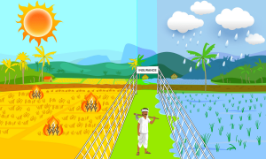 Insuring Against Climate Change