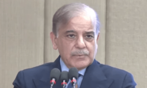 حکومتی کاوشوں سے معیشت استحکام کی راہ پر گامزن ہے، وزیراعظم