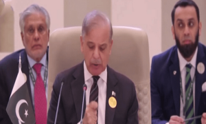 PM Shehbaz calls for ceasefire in Gaza at Arab Islamic Summit