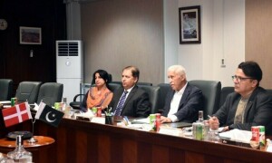 ڈنمارک کی شپنگ کمپنی کا پاکستان میں 2 ارب ڈالر کی سرمایہ کاری کا منصوبہ