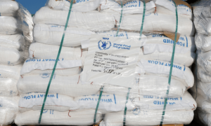 Israeli military still obstructing aid delivery to Gaza: Norwegian Refugee Council