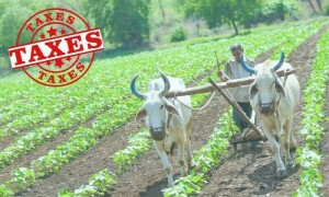 پیپلزپارٹی کی مخالفت کے باوجود زرعی انکم ٹیکس پنجاب 2024 بل منظور، کسانوں پر سپر ٹیکس لگے گا