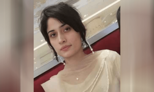 سیالکوٹ: &rsquo;ساس اور نند کے ہاتھوں حاملہ خاتون کا سفاکانہ قتل&lsquo;، ملزمان گرفتار