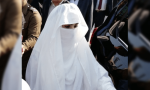 24 نومبر کے احتجاج میں ارکان اپنے حلقوں سے 10، 10 ہزار ورکرز ساتھ لائیں، بشریٰ بی بی کا خطاب