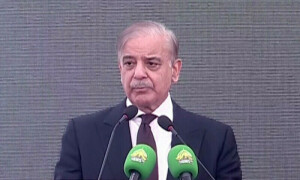 Govt vows strict action on &lsquo;venom against Saudi Arabia&rsquo; as PTI clarifies Bushra&rsquo;s remarks