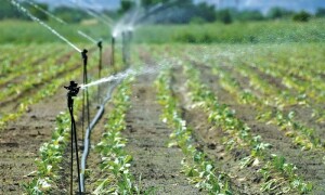 Efficient irrigation &mdash; Pakistan&rsquo;s missed opportunity