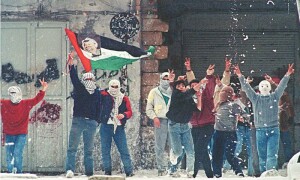 Solidarity with Palestine