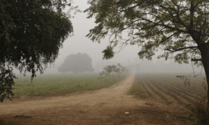 Lahore&rsquo;s smog: the sun may be out but a sustainable solution remains out of sight