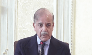 پی ٹی آئی سیاسی جماعت نہیں، فتنہ ہے، اس کیخلاف کارروائی کیلئے آگے بڑھنا ہے، وزیر اعظم