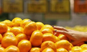 Govt urged  to check dwindling citrus exports