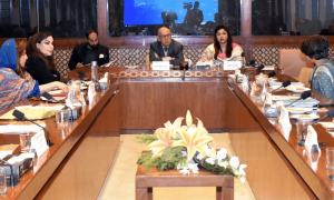 Pakistan asks US to support its reforms, avoid criticism