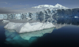 Arctic is now emitting more carbon than it absorbs