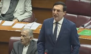 PTI&rsquo;s Gohar raises issue of protesters&rsquo; alleged deaths in NA, demands answers from govt