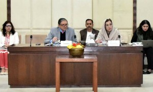 18 ویں ترمیم سے زیادہ فنڈز صوبوں کے پاس چلے گئے، این ایف سی ایوارڈ پر نظر ثانی کرنا ہوگی، سیکریٹری خزانہ
