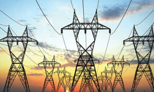 گزشتہ 2 برس میں آئی پی پیز کو کپیسٹی چارجز ادائیگی کی تفصیل سینیٹ میں پیش