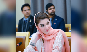 مریم نواز کا چینی کمپنیوں کو پنجاب میں &rsquo;ون ونڈو آپریشن&lsquo; سہولت دینے کا فیصلہ