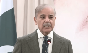 پولیو کا انسداد ایک بہت بڑا چیلنج ہے، وائرس کا خاتمہ کرکے دم لیں گے، شہبازشریف