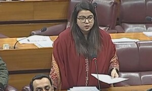 Digital Nation Pakistan Bill tabled in National Assembly