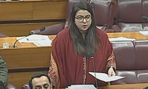 قومی اسمبلی میں &rsquo; ڈیجیٹل نیشن پاکستان بل 2024&rsquo; پیش کردیا گیا