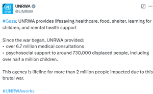 UNRWA says it provided 6.7m medical consultations to Palestinians since last October