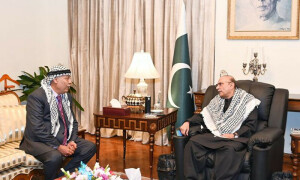 President Zardari expresses solidarity with Palestine