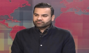 حکومت پی ٹی آئی سے مذاکرات کیلئے کمیٹی بنا رہی ہے، بیرسٹر عقیل ملک