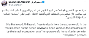 3 babies freeze to death in Gaza amid Israeli offensive