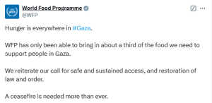 WFP: &lsquo;Hunger is everywhere in Gaza&rsquo;