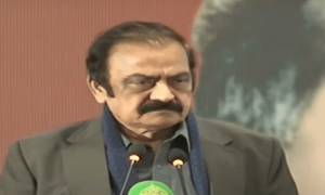 نوازشریف، آصف زرداری اور عمران خان کے مل بیٹھنے سے دیرینہ ملکی مسائل کا حل ممکن ہے، رانا ثنا