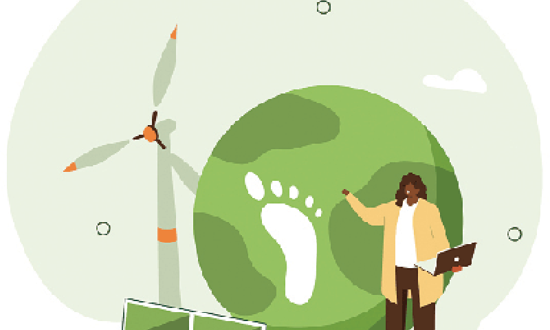 Glimmers of an action plan