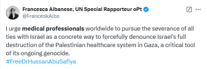 UN special rapporteur calls for global medical boycott of Israel