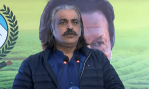 کرم کے دیرینہ مسئلے کو میں ہی حل کروں گا، علی امین گنڈا پور