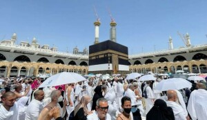 Govt plans to pull out of Haj operation, Senate panel told Govt plans to pull out of Haj operation, Senate panel told