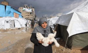 More than 1,500 tents flooded, unusable in Gaza after days of rain: civil defence