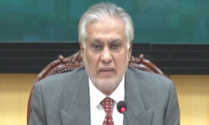حکومت نے 2024 میں چیلنجز کو بہترین انداز میں ہینڈل کیا، نائب وزیراعظم