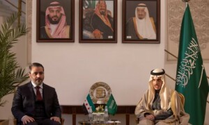 Syria to include all sectors in new government: FM