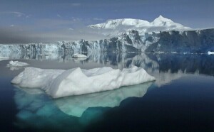 Antarctic sea ice rebounds from record lows
