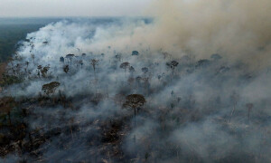 2024 was the first year above 1.5&ordm;C of global warming, scientists say