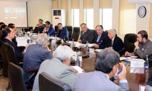 اقتصادی رابطہ کمیٹی نے وزارتوں کیلئےگرانٹس، اسٹیل مل ملازمین کی تنخواہوں کیلئے رقم کی منظوری دے دی