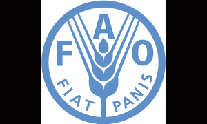 FAO reviews progress on EU-funded projects