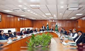 جوڈیشل کمیشن، سپریم جوڈیشل، لا اینڈ جسٹس کمیشن میں تقرریوں کیلئے کمیٹیاں قائم