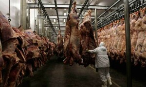 Full activation of Rawalpindi&rsquo;s Sihala slaughterhouse ordered