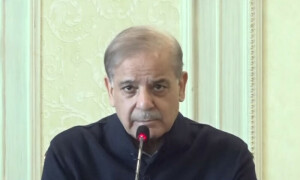 مذاکرات آگے بڑھانے کیلئے تیار ہوں، وزیراعظم کی تحریک انصاف کو پارلیمانی کمیٹی بنانے کی پیشکش