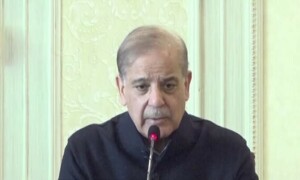 &lsquo;Takes two to tango&rsquo;: Govt offers PTI parliamentary committee to continue talks