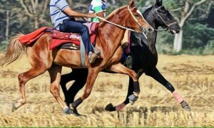 گھوڑوں کی روایتی دوڑ: &rsquo;ان گھوڑوں کو شہزادوں کی طرح پالا جاتا ہے&lsquo;