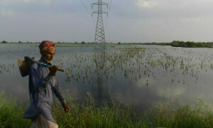 Agriculture: Safeguarding wetlands for a healthier planet