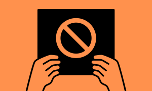 Did Local Brands Seize the Boycott Opportunity?