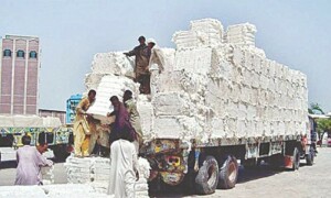 کپاس کی صنعت یورپی یونین کے جی ایس پی پلس اسٹیٹس پر نظر ثانی کی خبروں سے پریشان